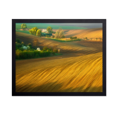 Fields