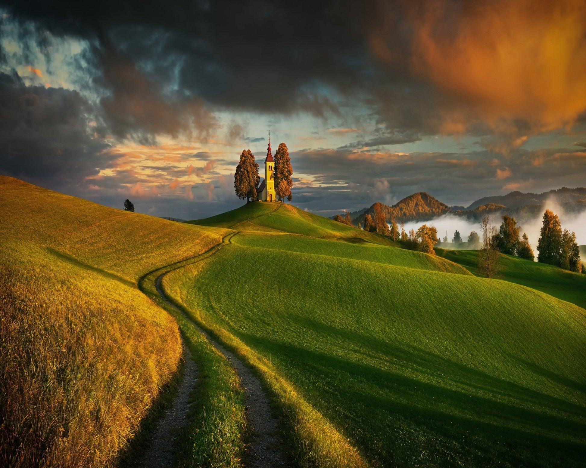 Evening Light