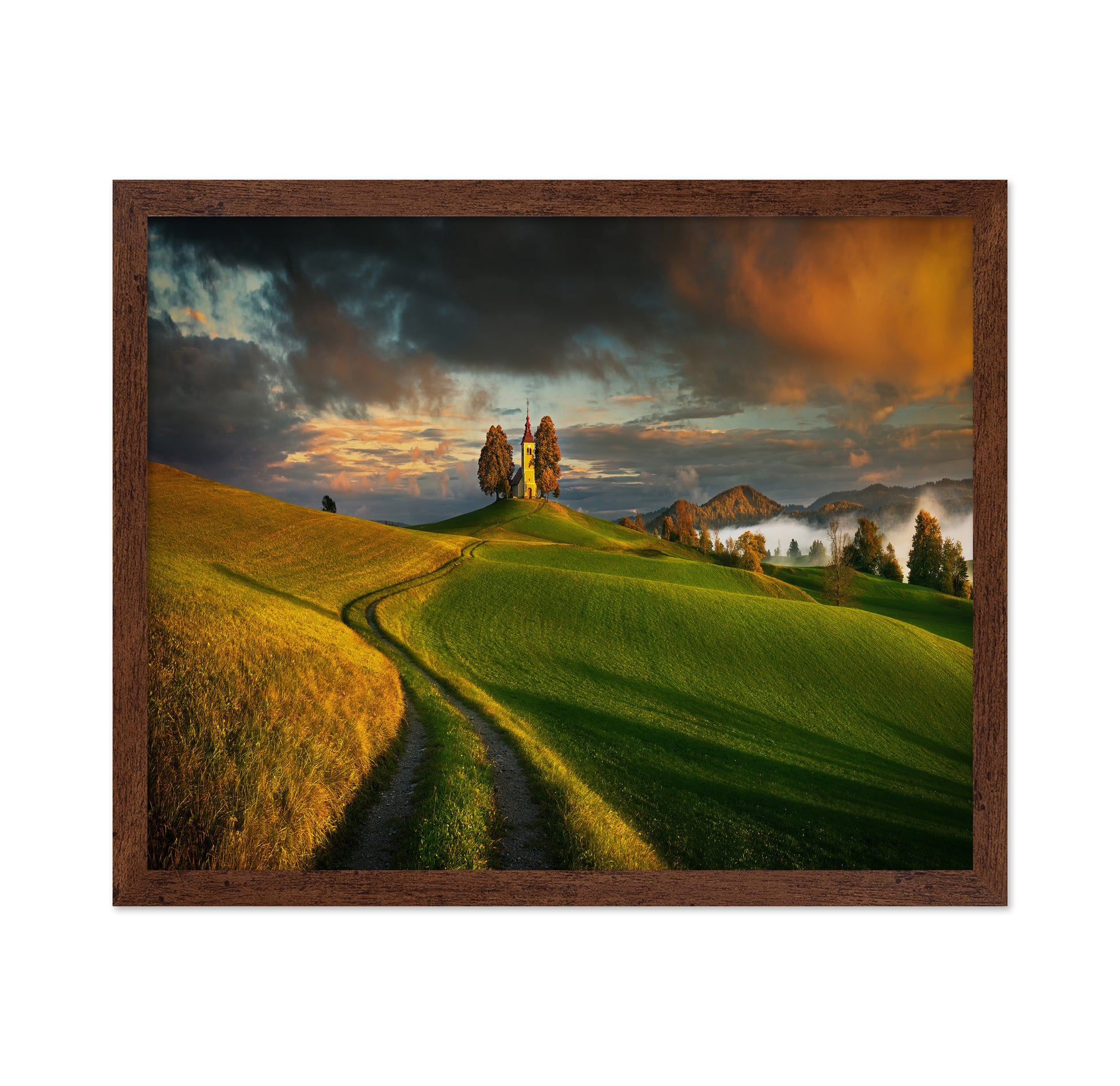 Evening Light