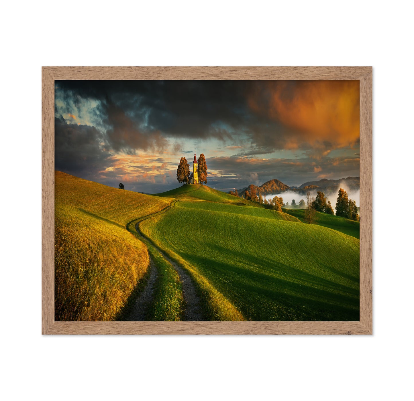 Evening Light