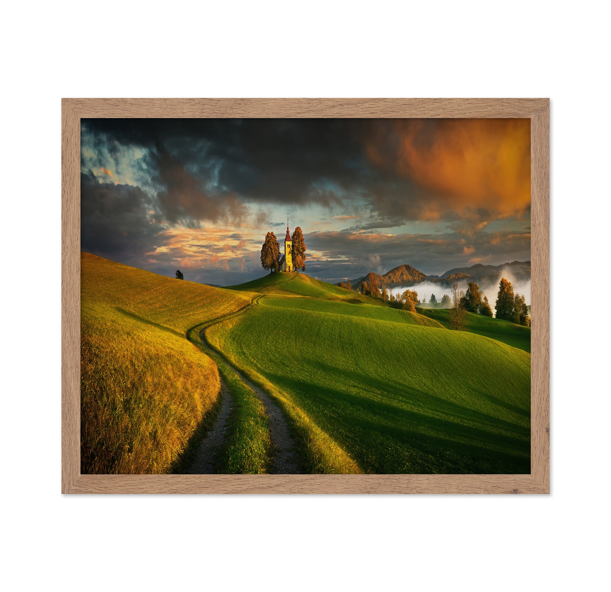 Evening Light