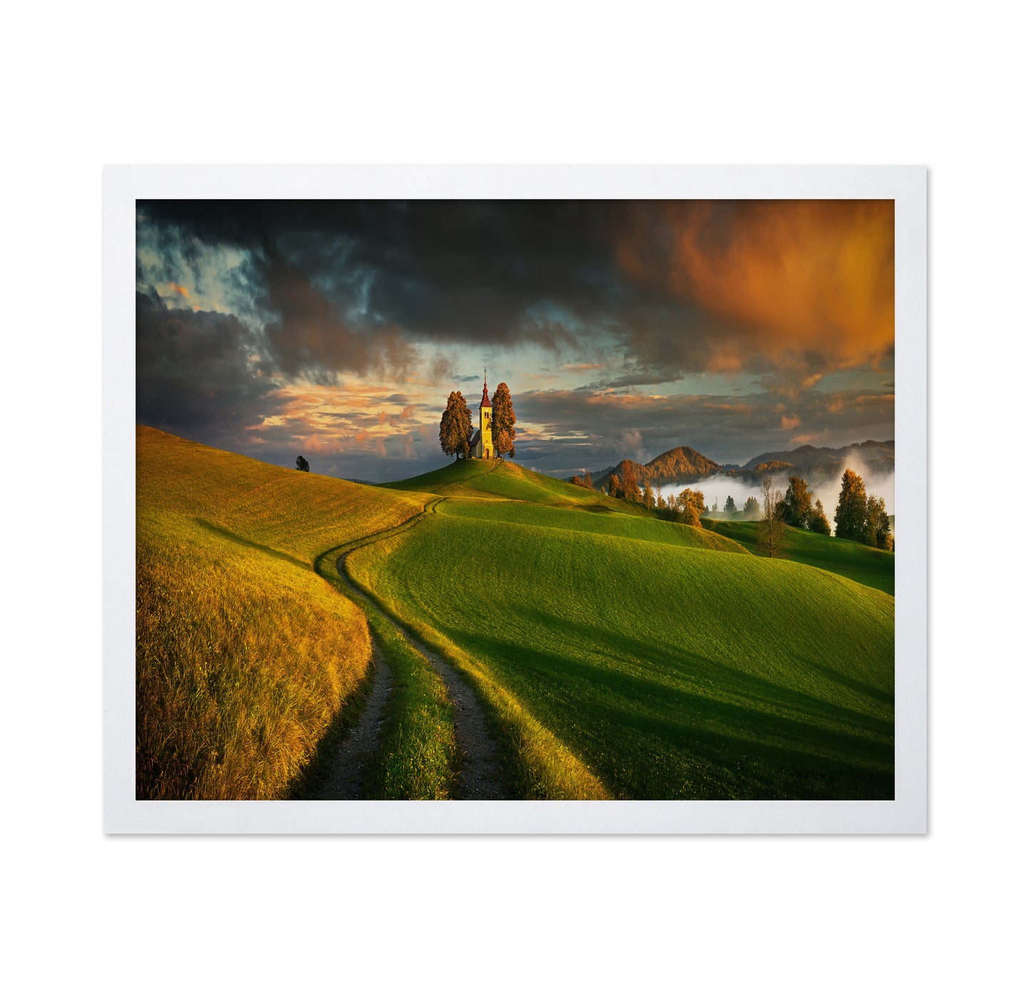Evening Light