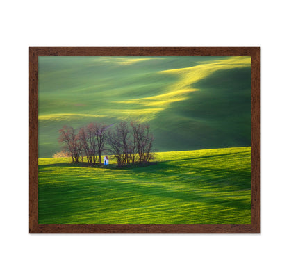 Fields and Colorful Trees