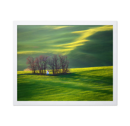 Fields and Colorful Trees