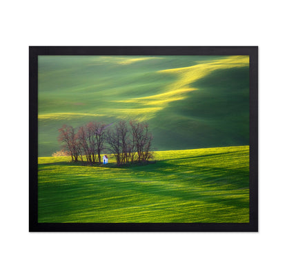 Fields and Colorful Trees