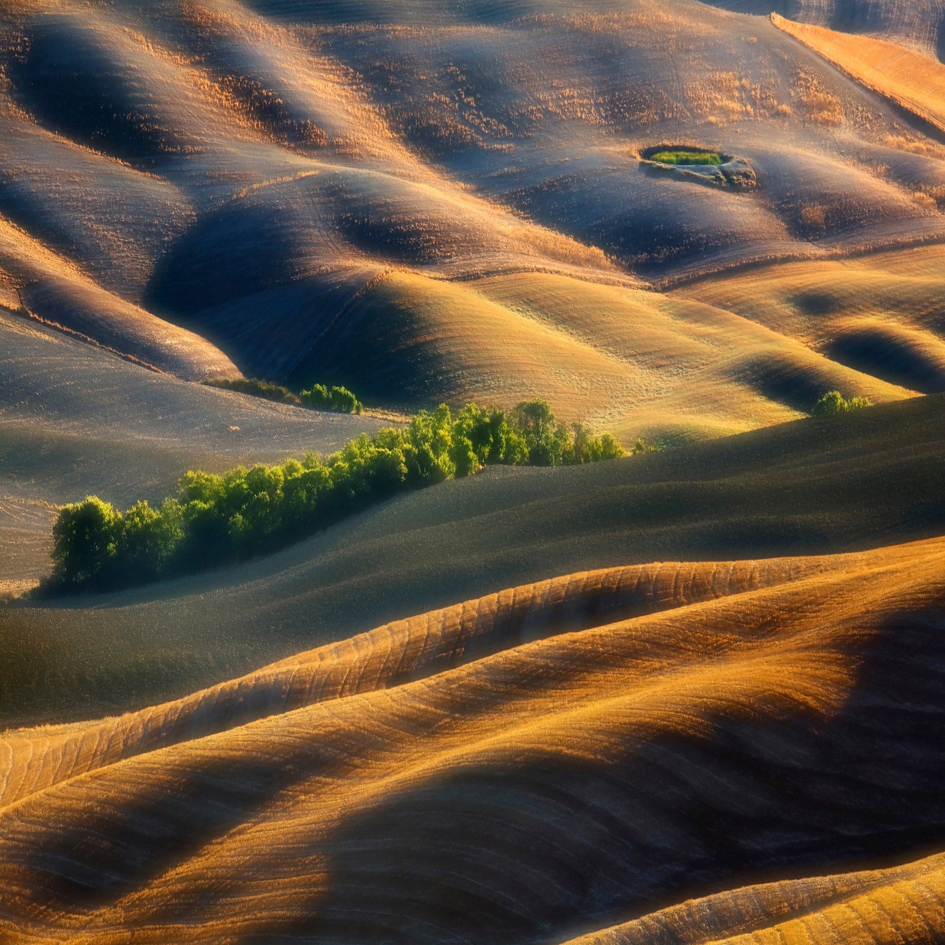 Pleated Plains