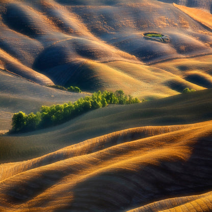 Pleated Plains