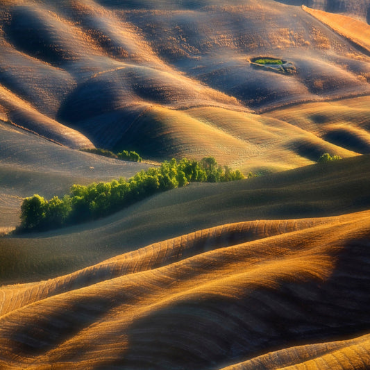 Pleated Plains