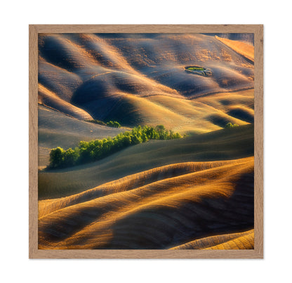 Pleated Plains