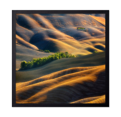 Pleated Plains