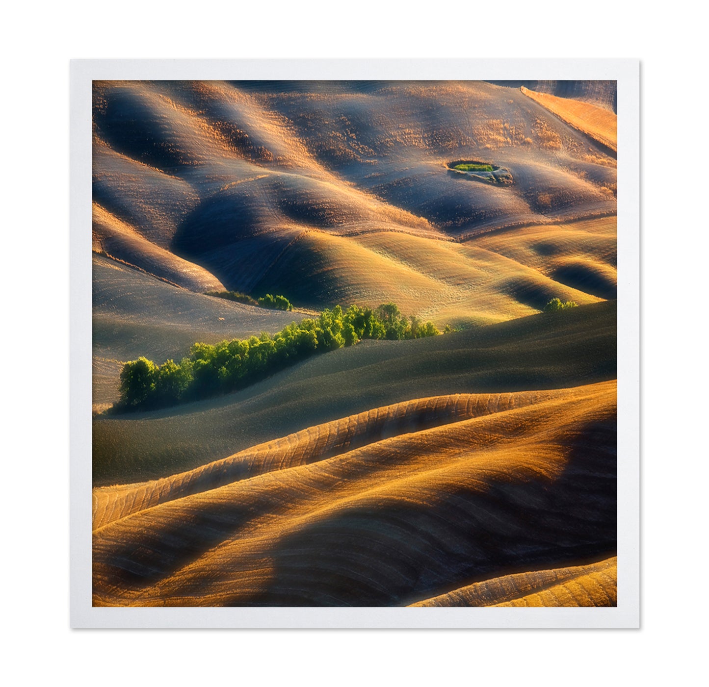 Pleated Plains