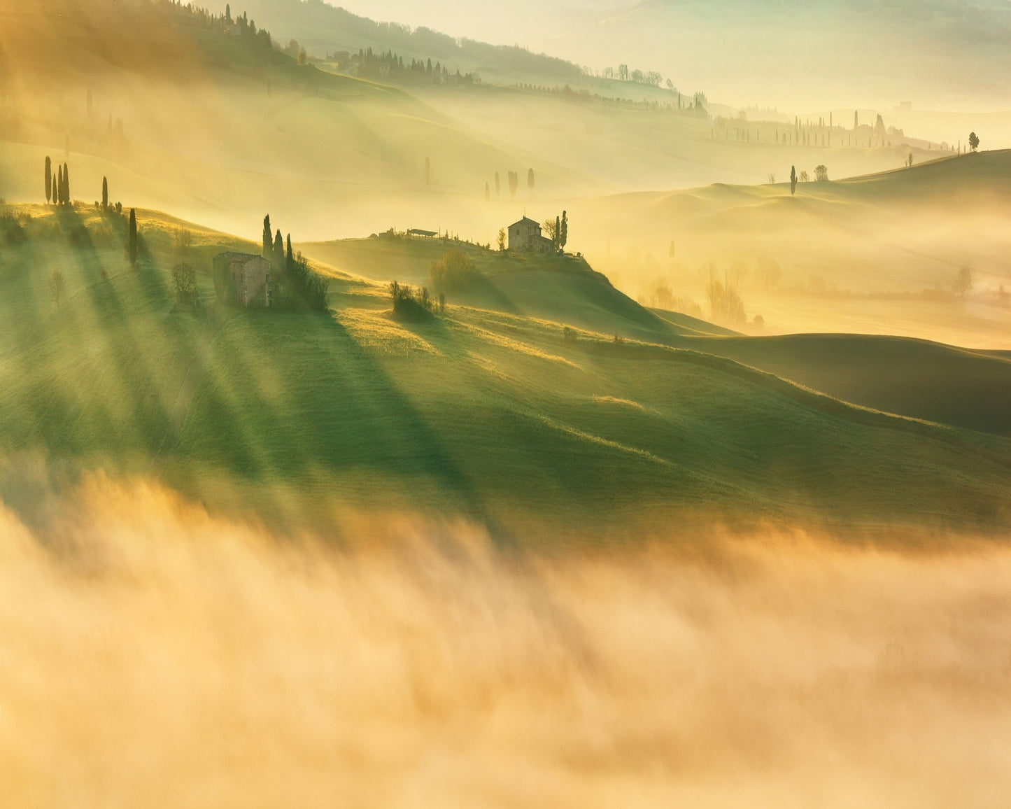 Foggy Valley