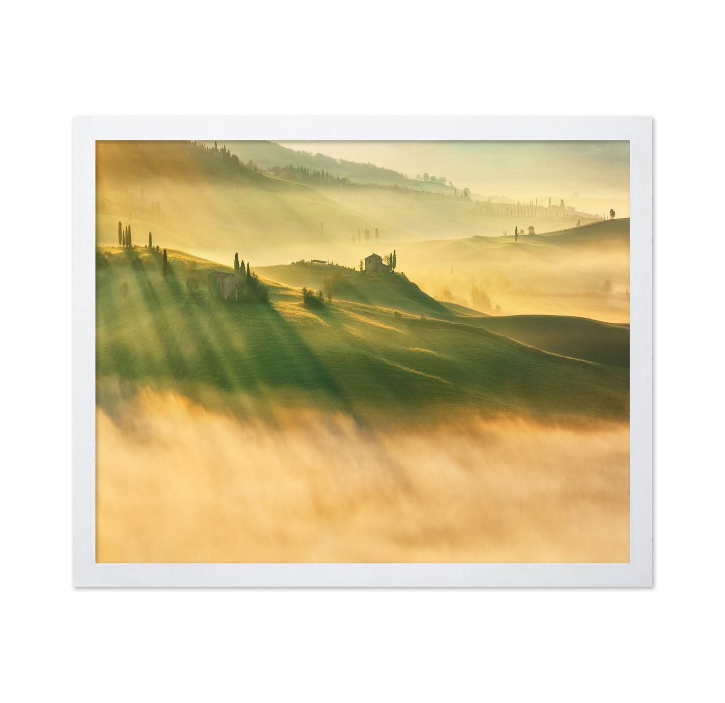 Foggy Valley