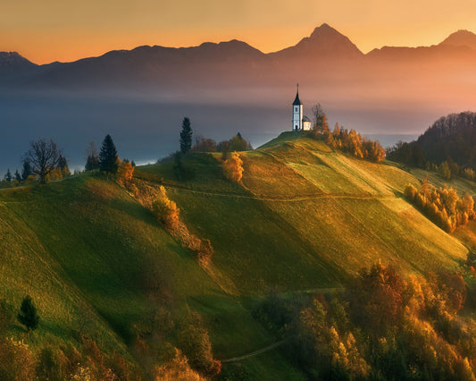 Autumn Light