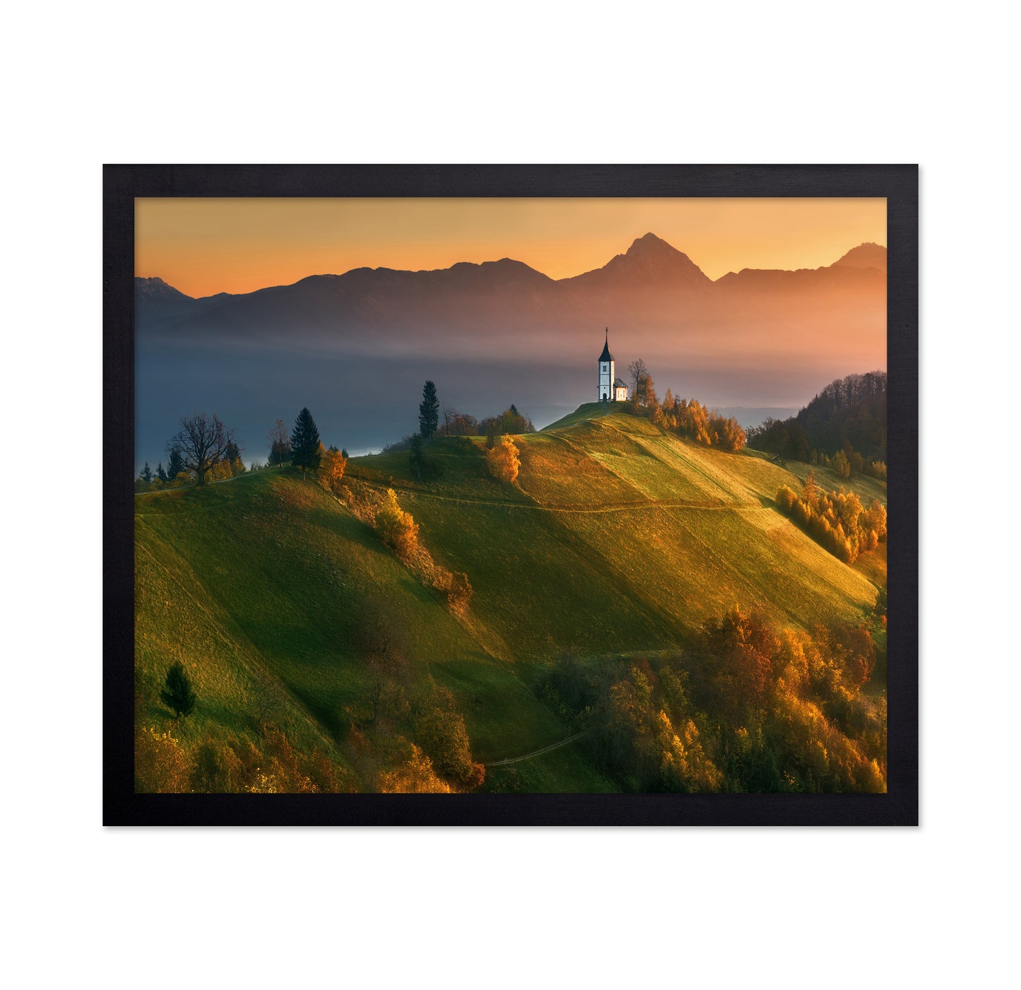 Autumn Light