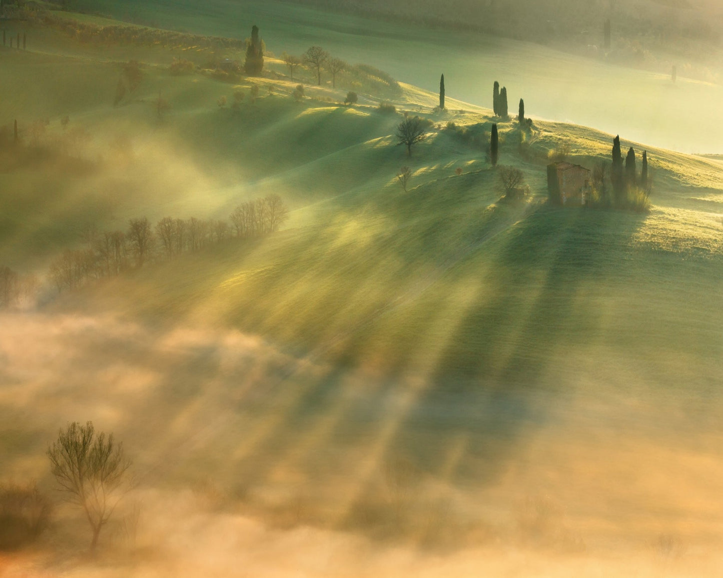 Mist No 2