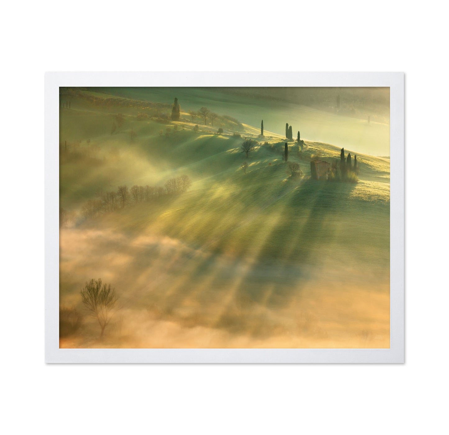 Mist No 2
