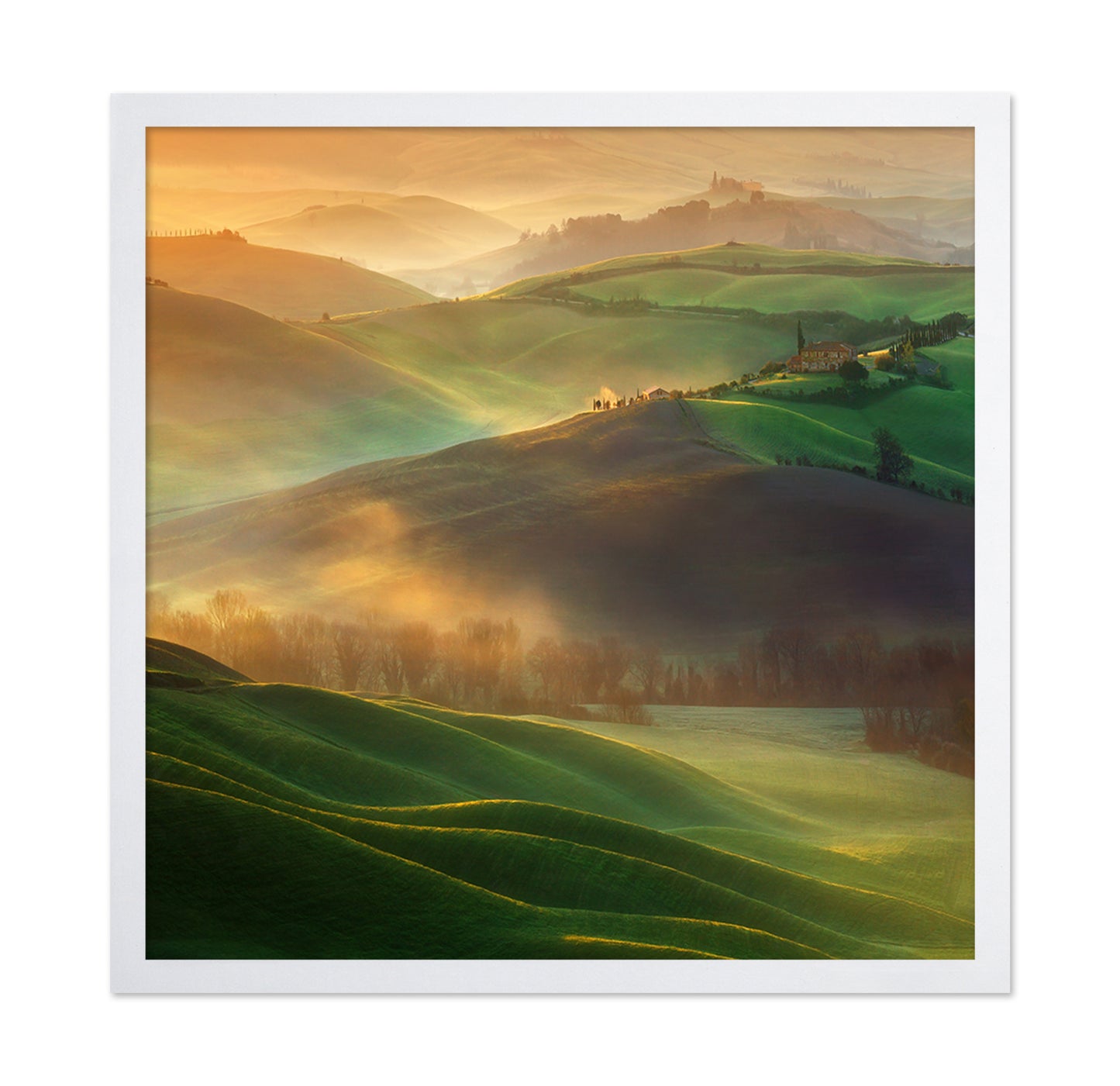 Morning Dreams