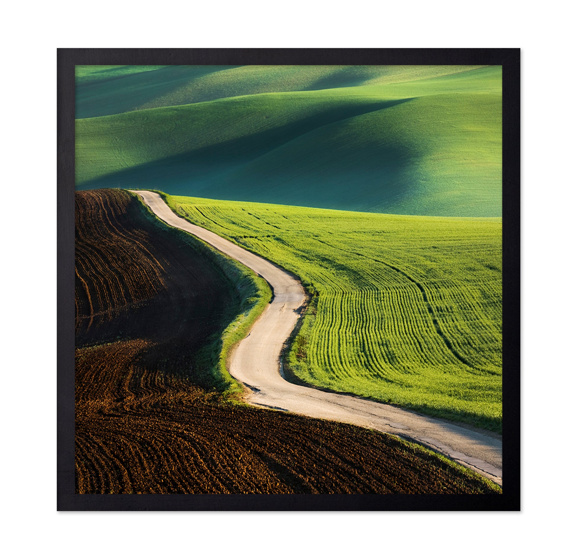 Road No 1