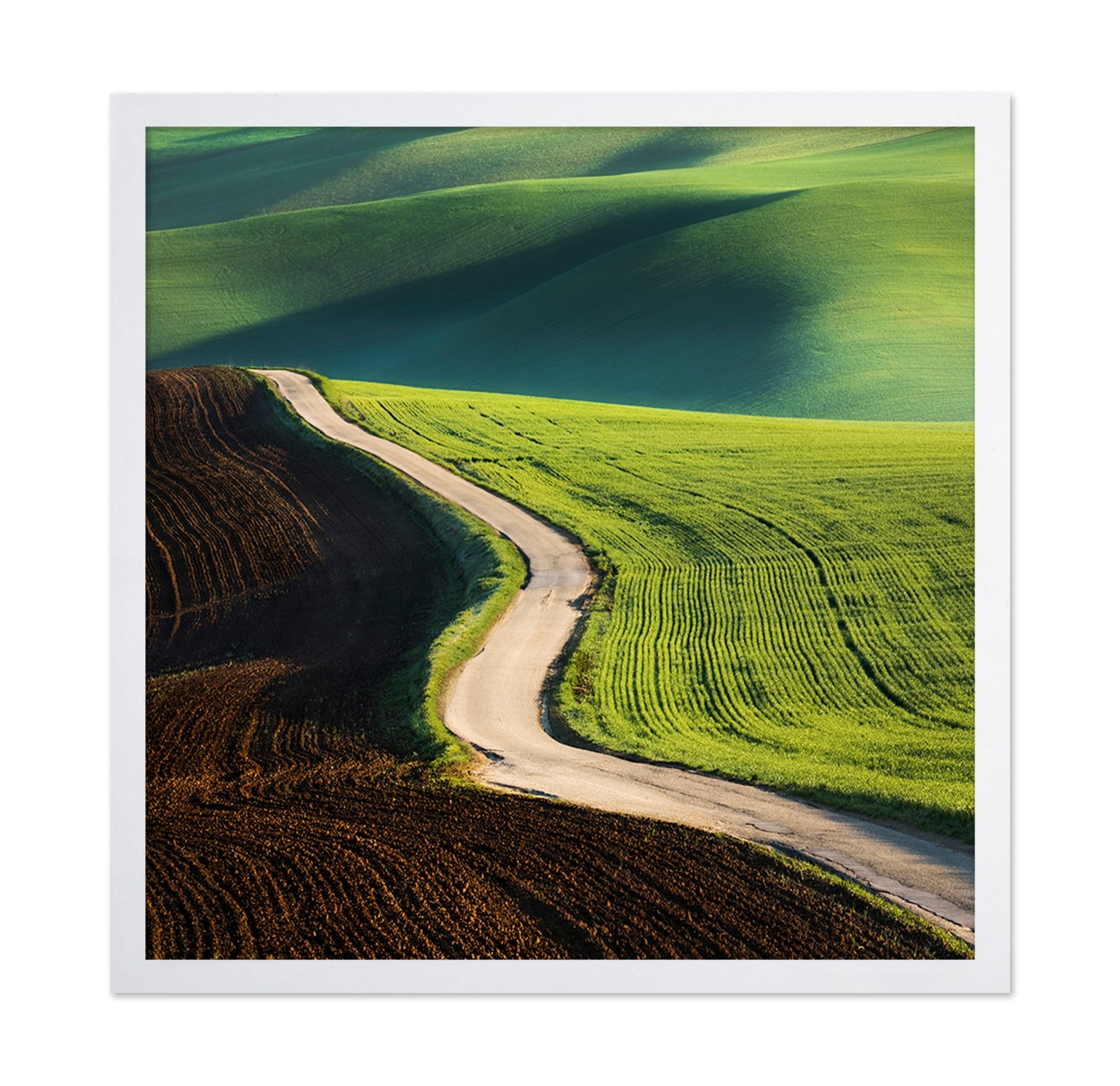 Road No 1