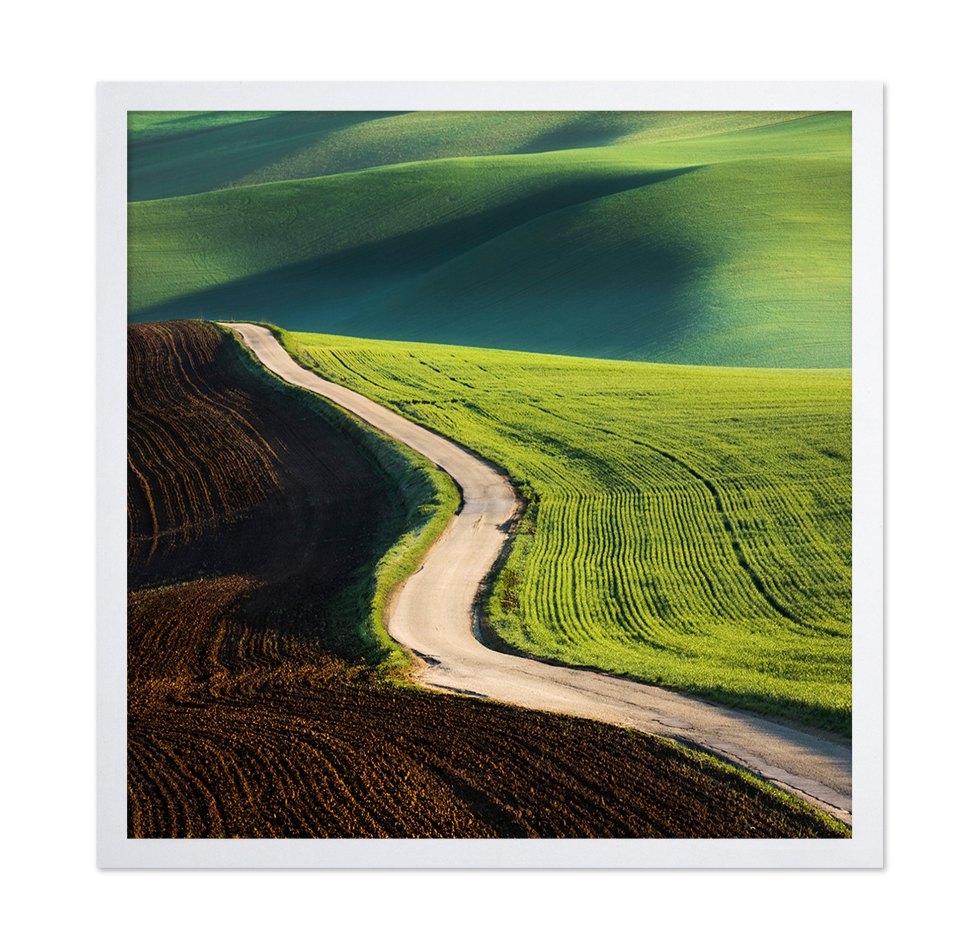 Road No 1