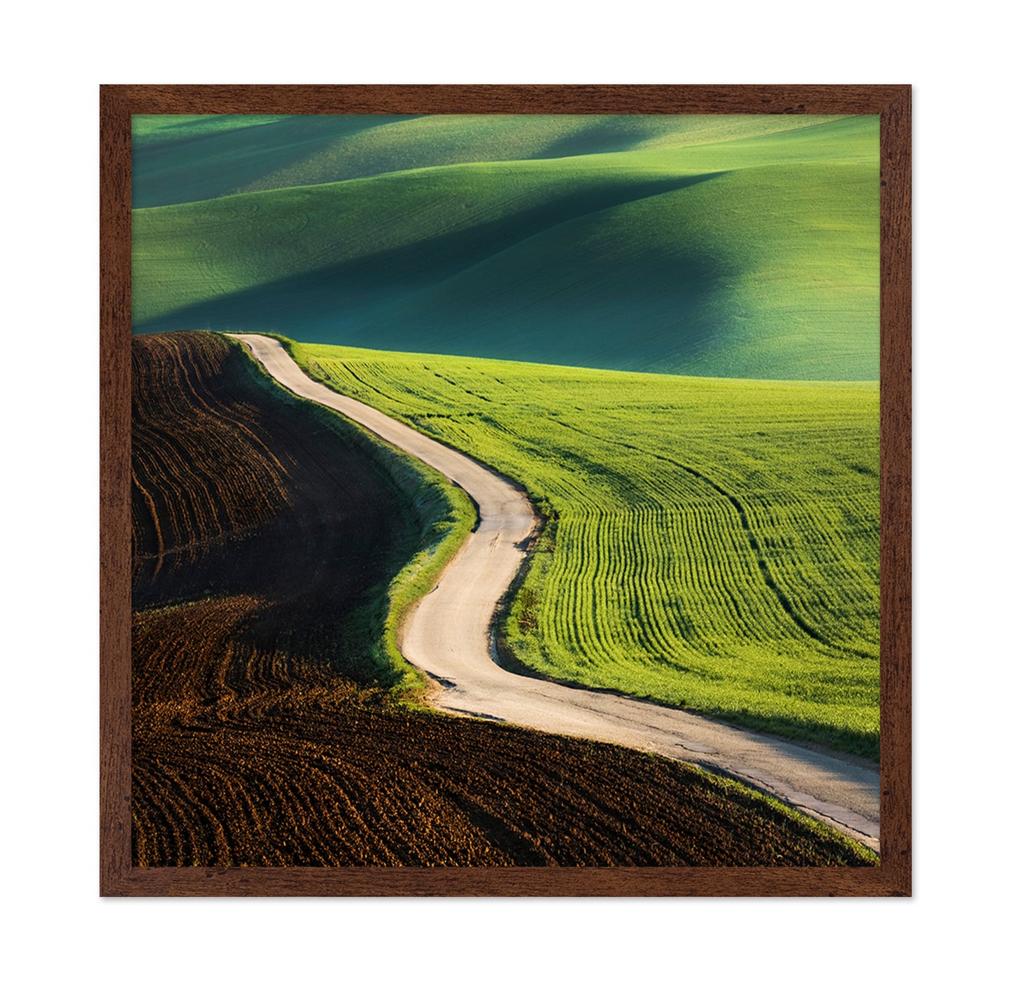 Road No 1