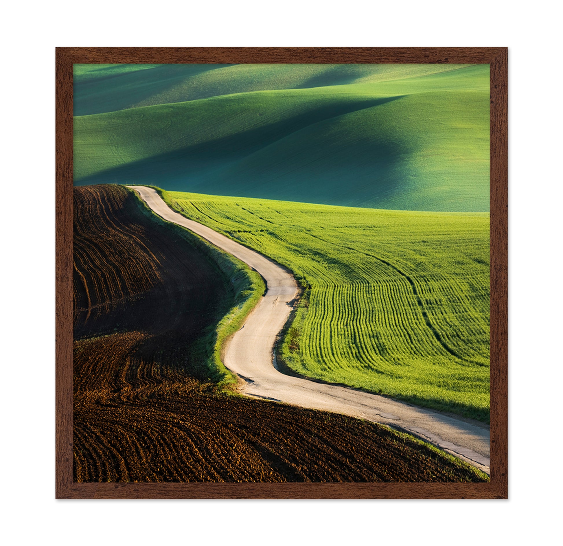 Road No 1