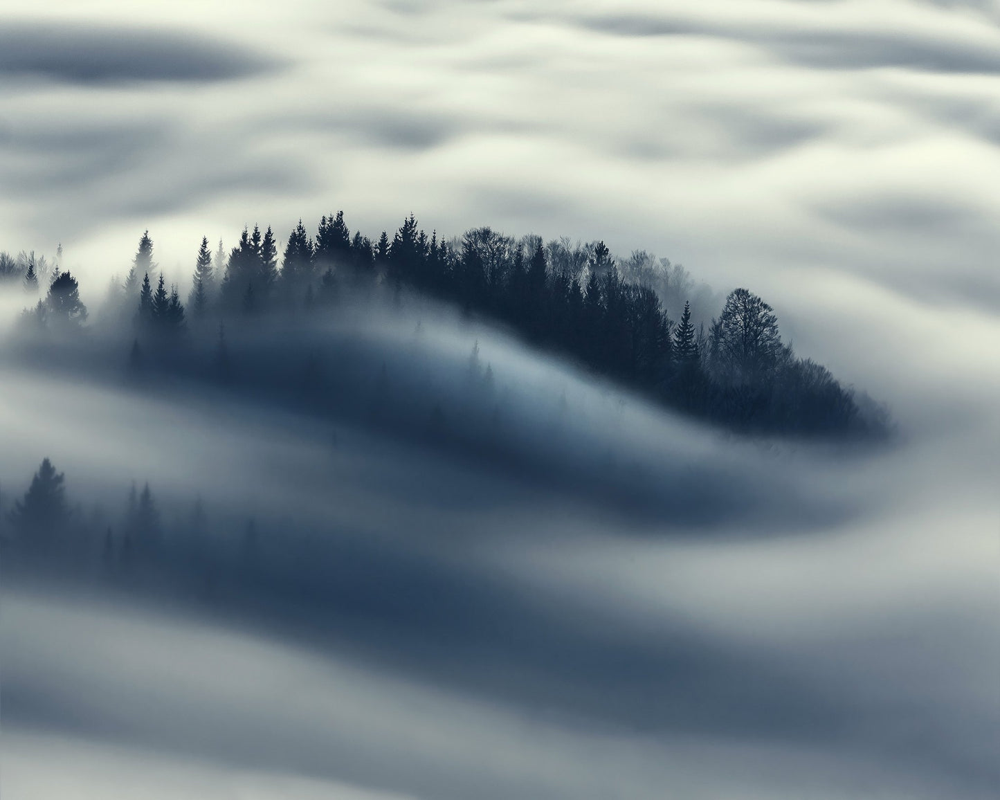 The Blue Mist