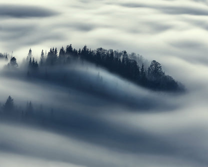 The Blue Mist
