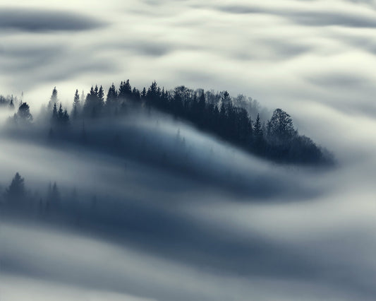 The Blue Mist