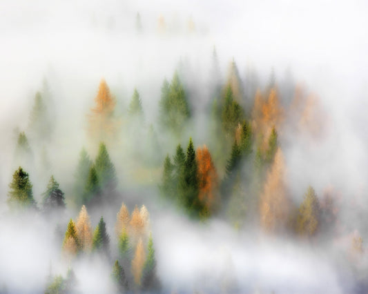 Whispers of Fall