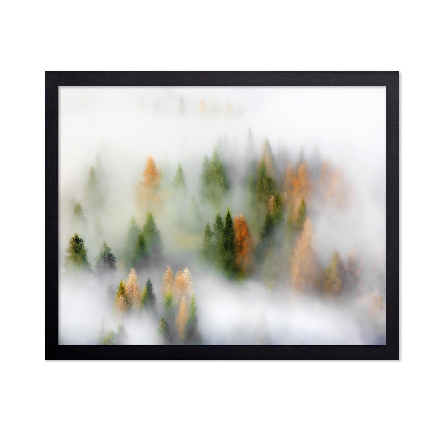 Whispers of Fall