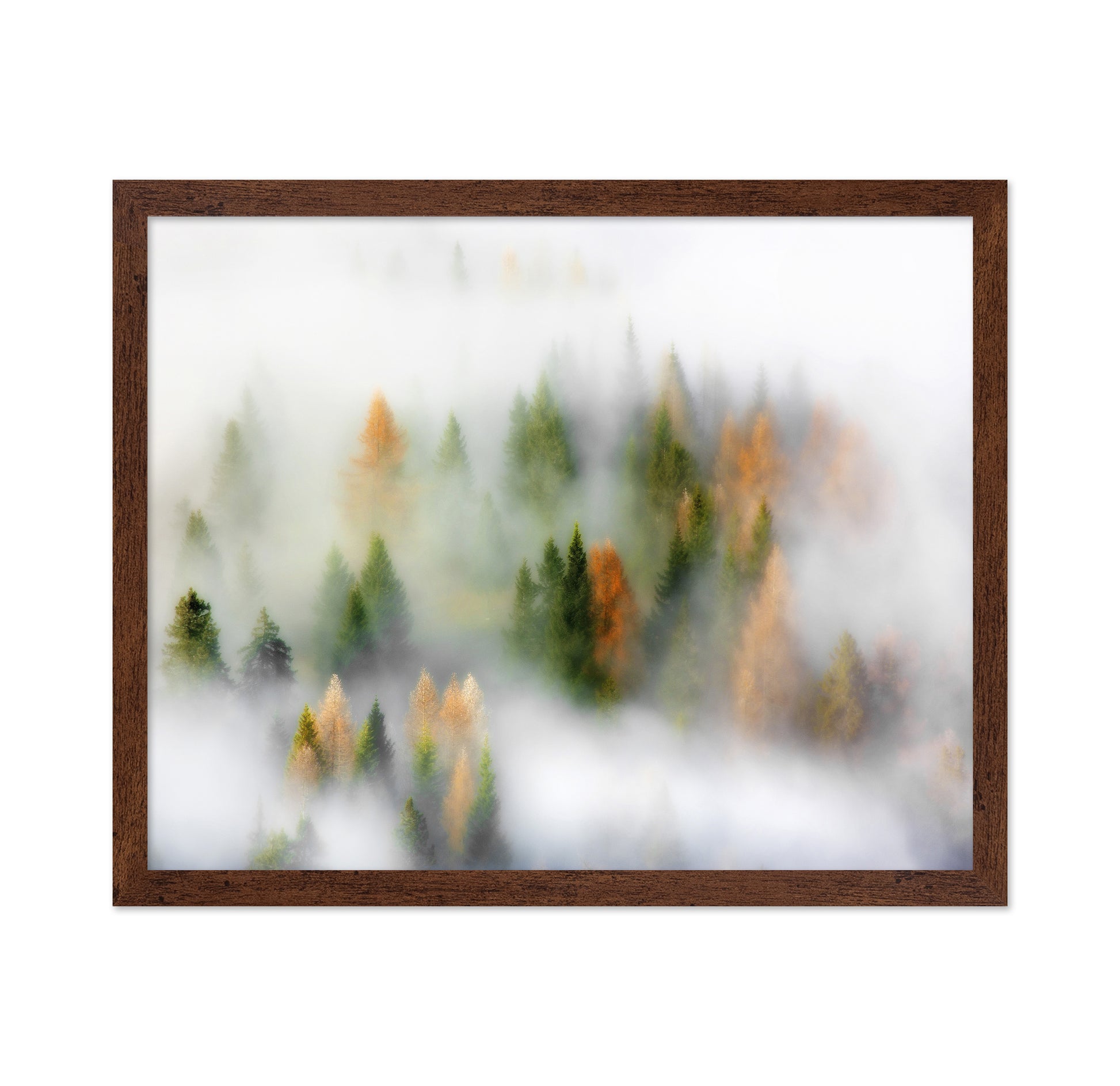 Whispers of Fall