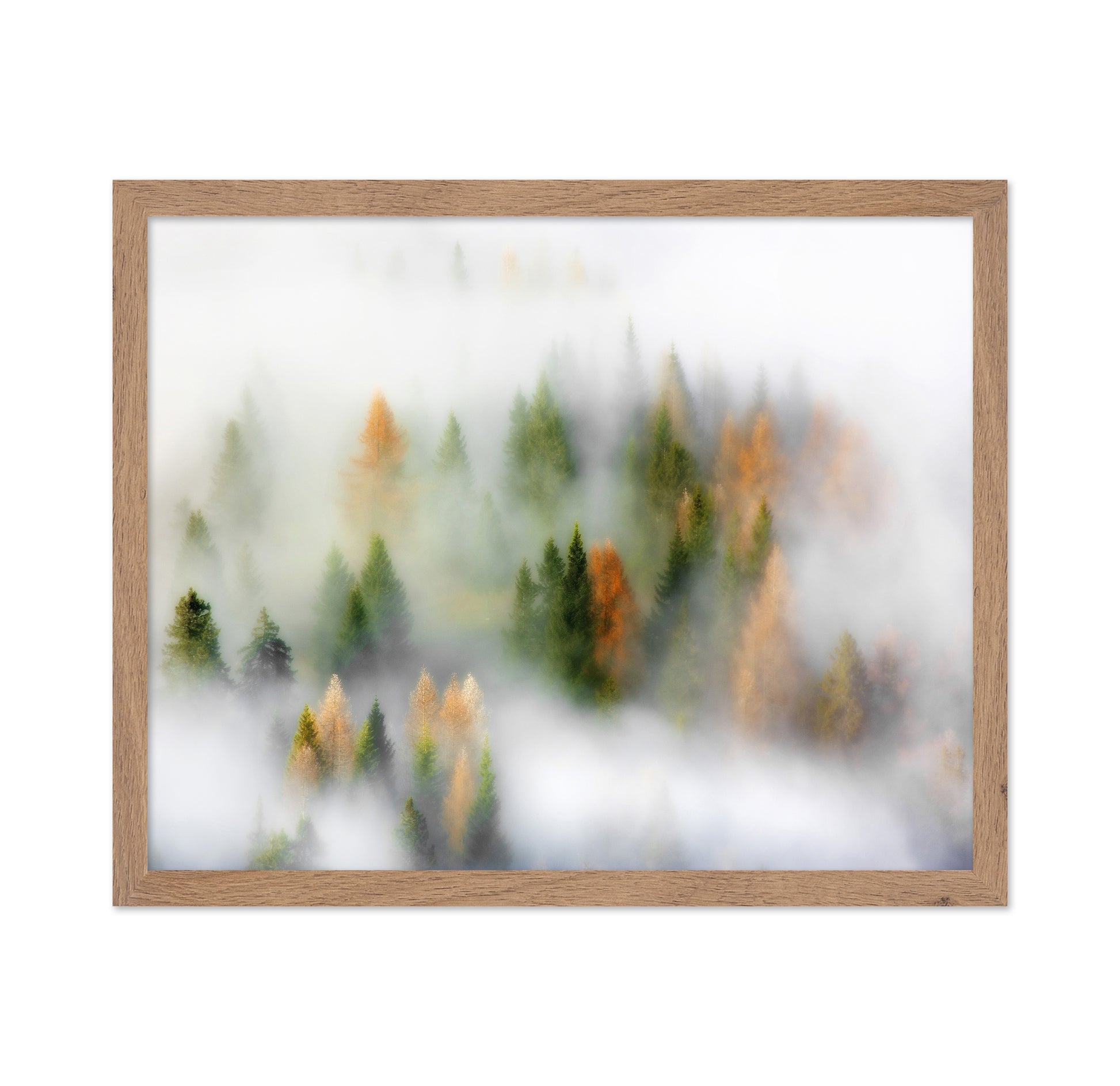 Whispers of Fall