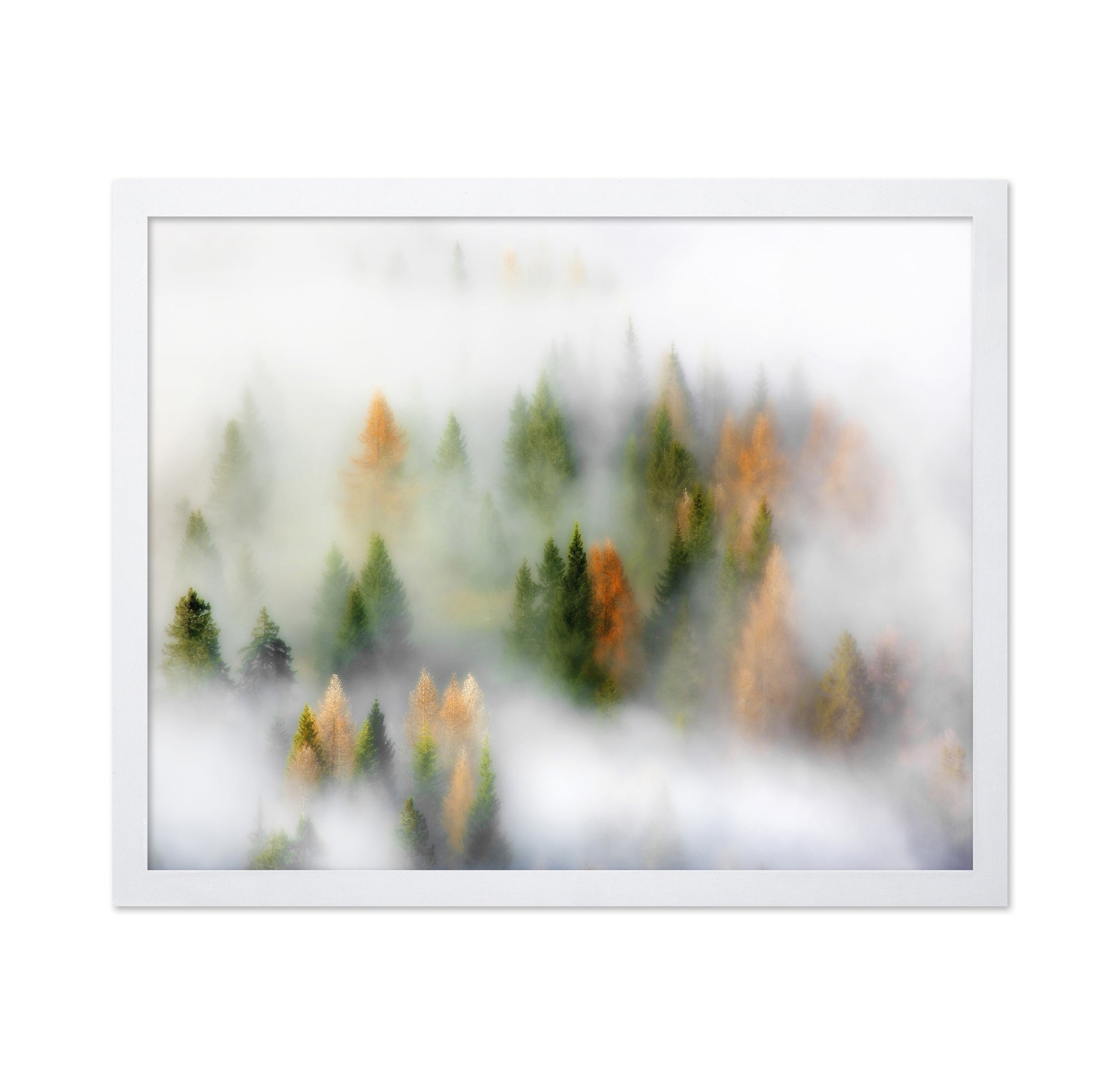 Whispers of Fall