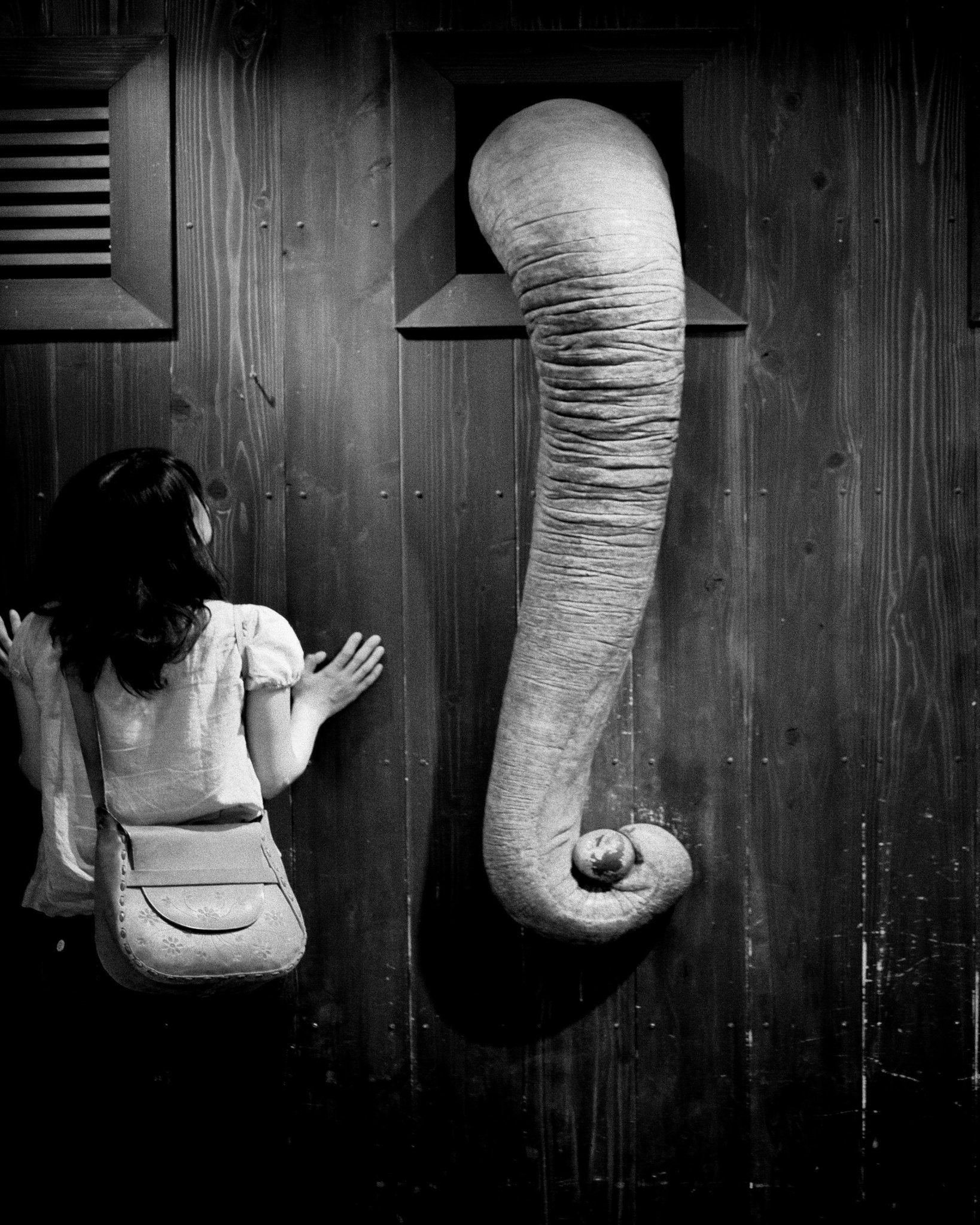 Elephant Trunk