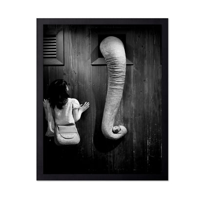Elephant Trunk