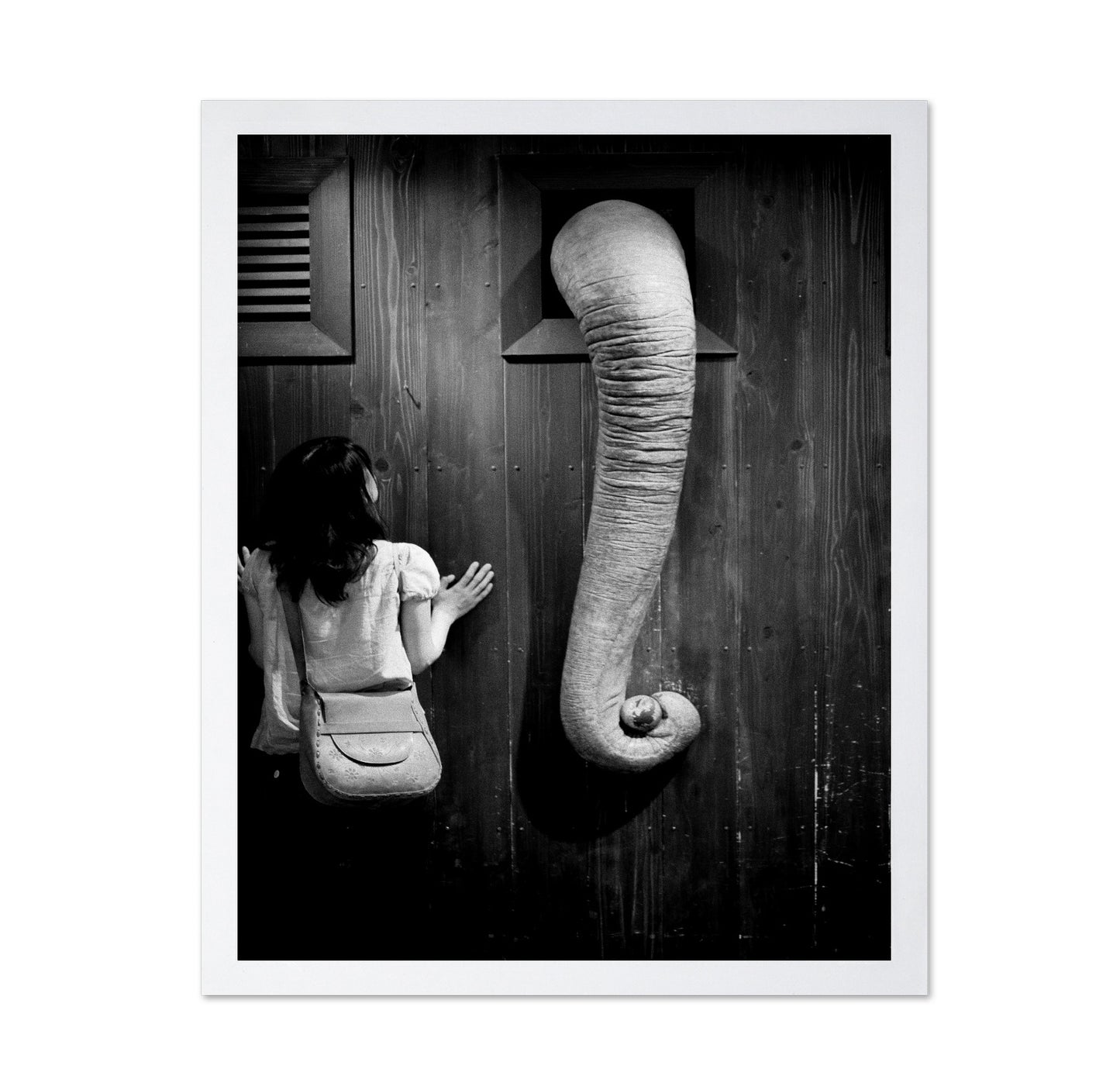 Elephant Trunk