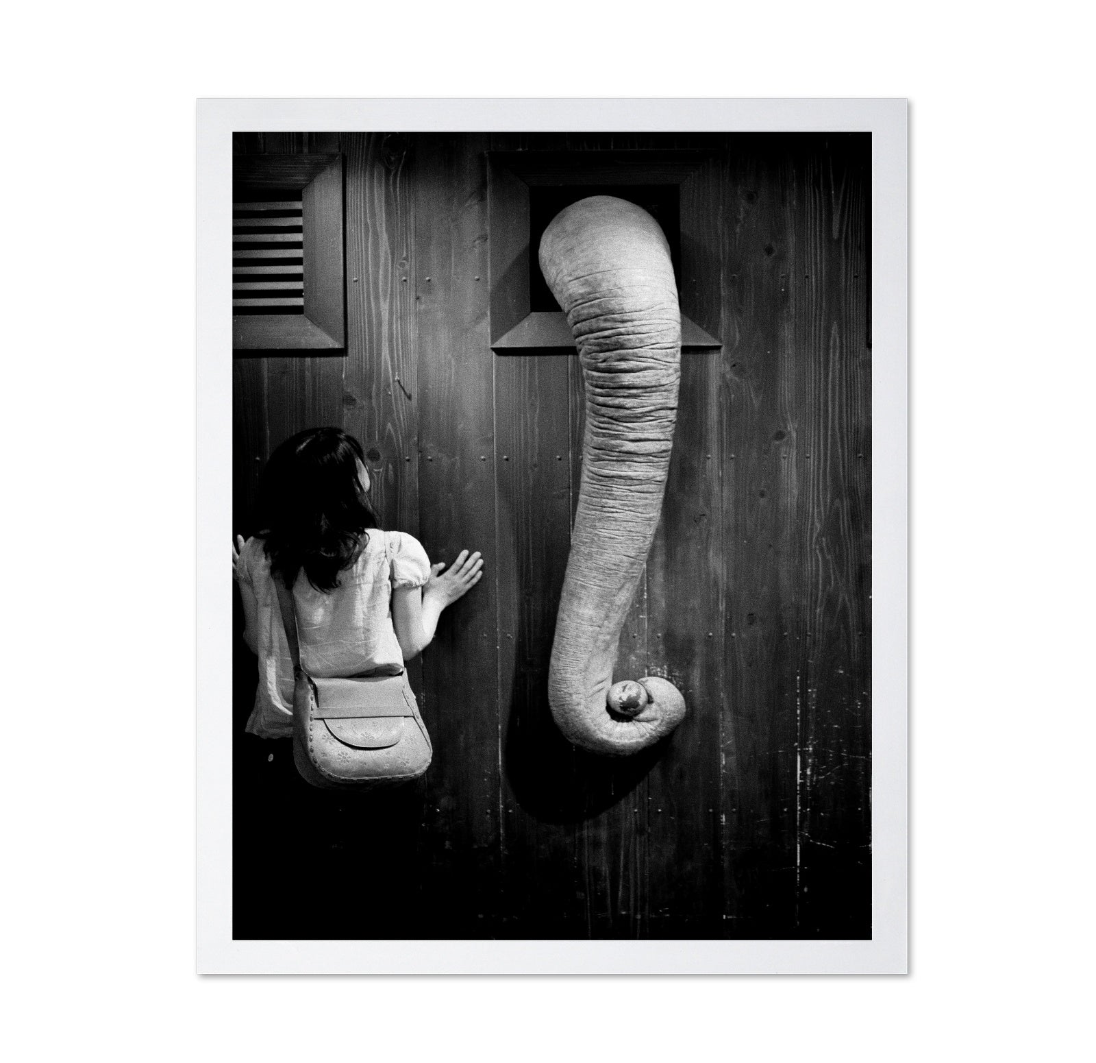 Elephant Trunk