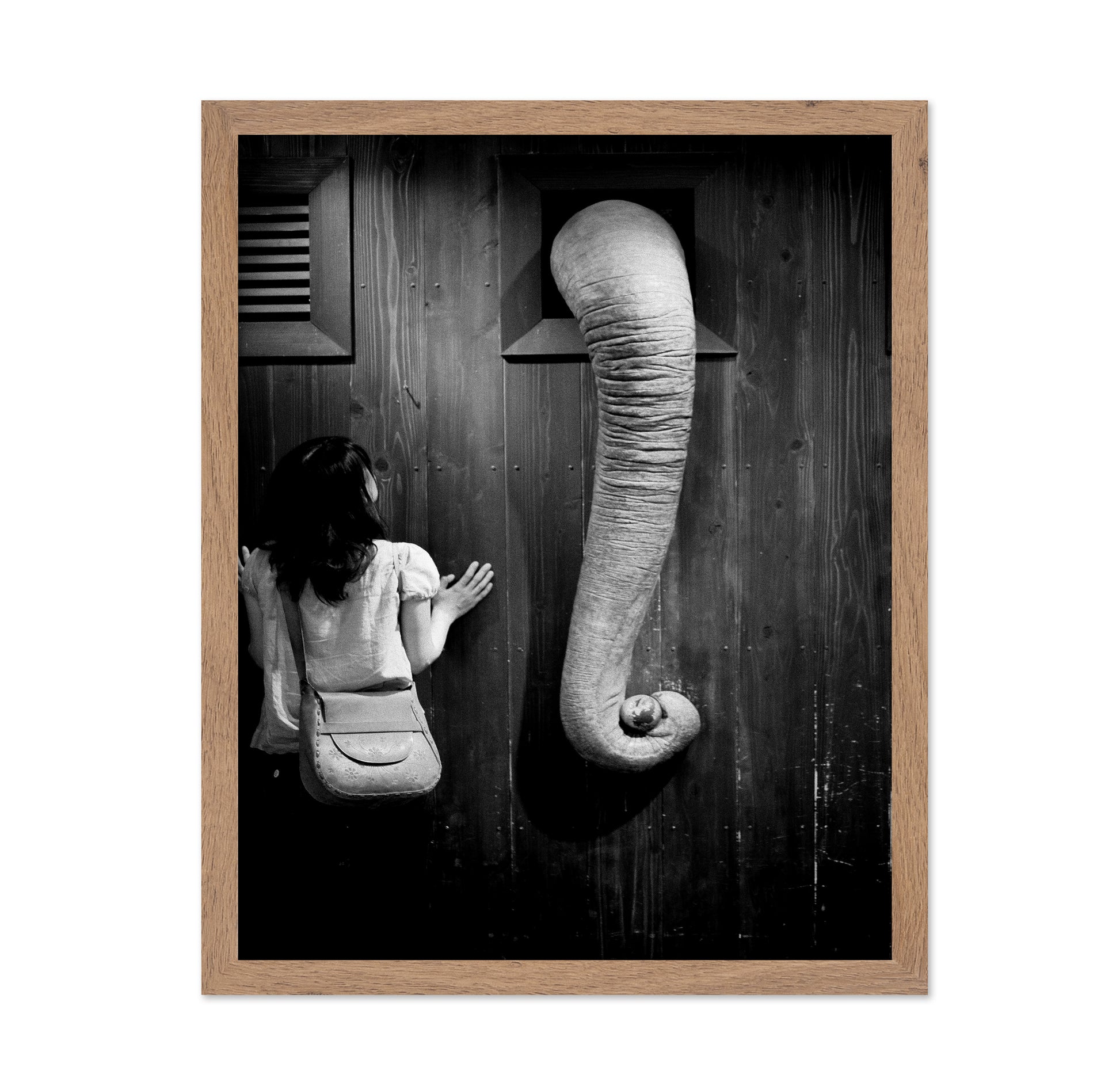 Elephant Trunk