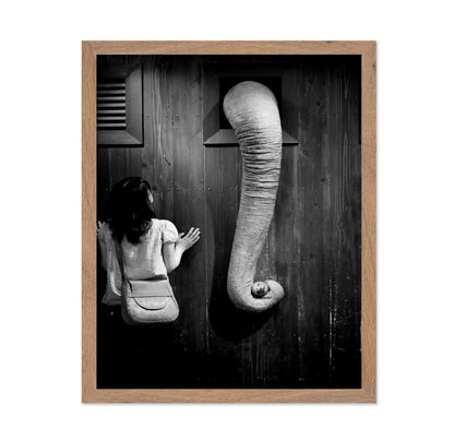 Elephant Trunk