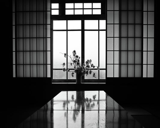 The Echo of Stillness