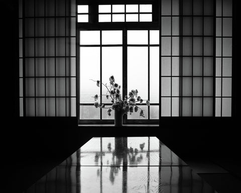 The Echo of Stillness