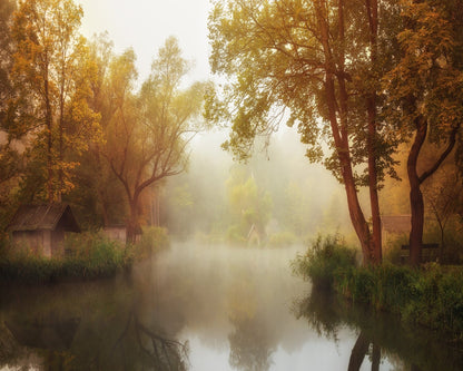 Foggy Autumn