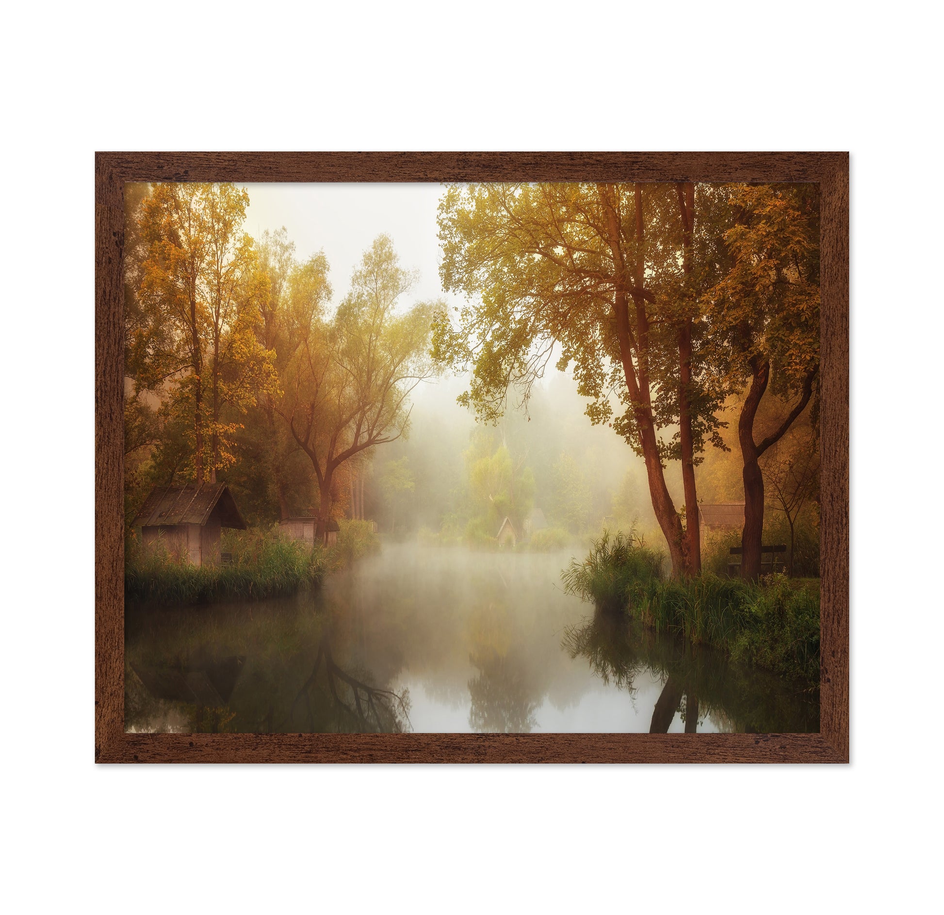 Foggy Autumn