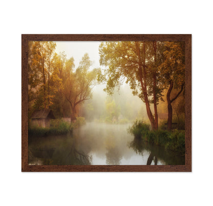 Foggy Autumn