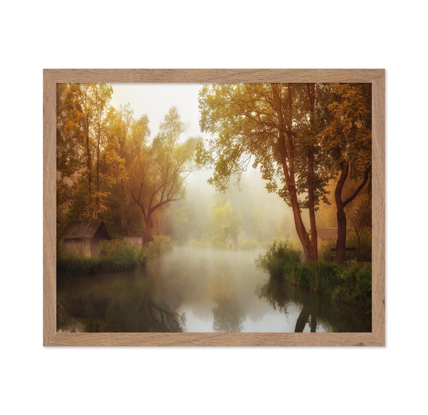 Foggy Autumn