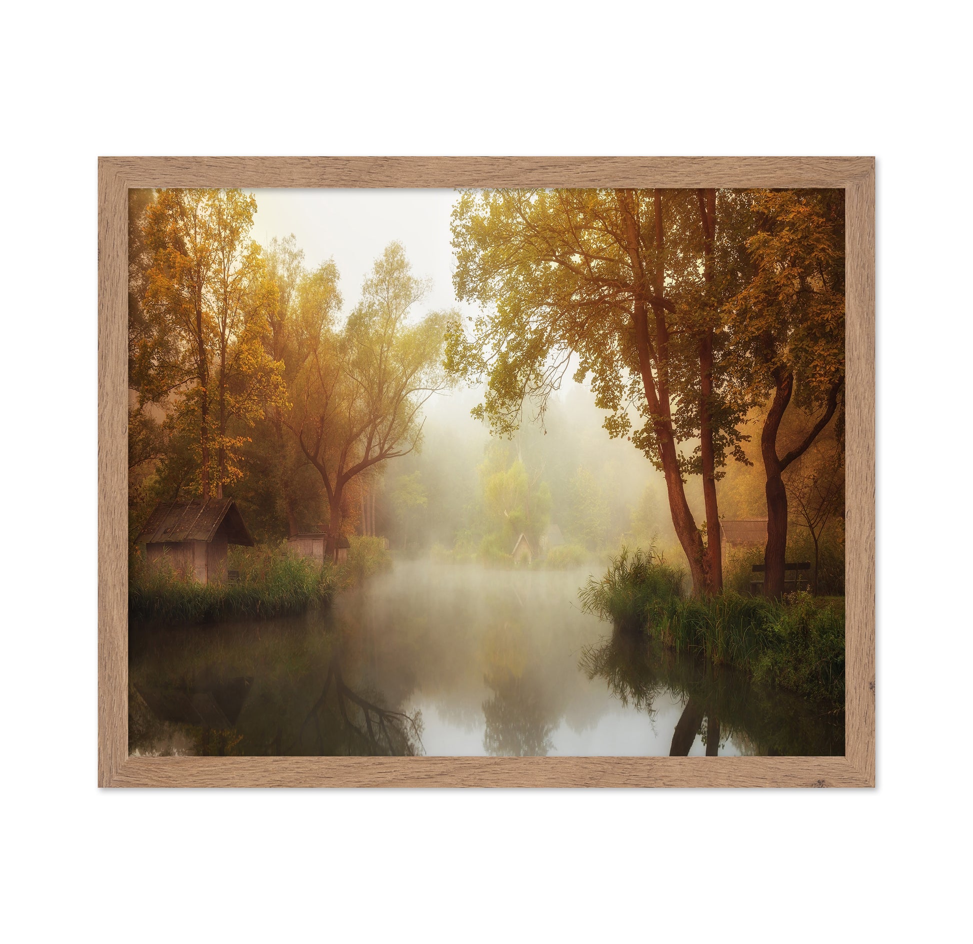 Foggy Autumn