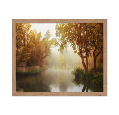 Foggy Autumn