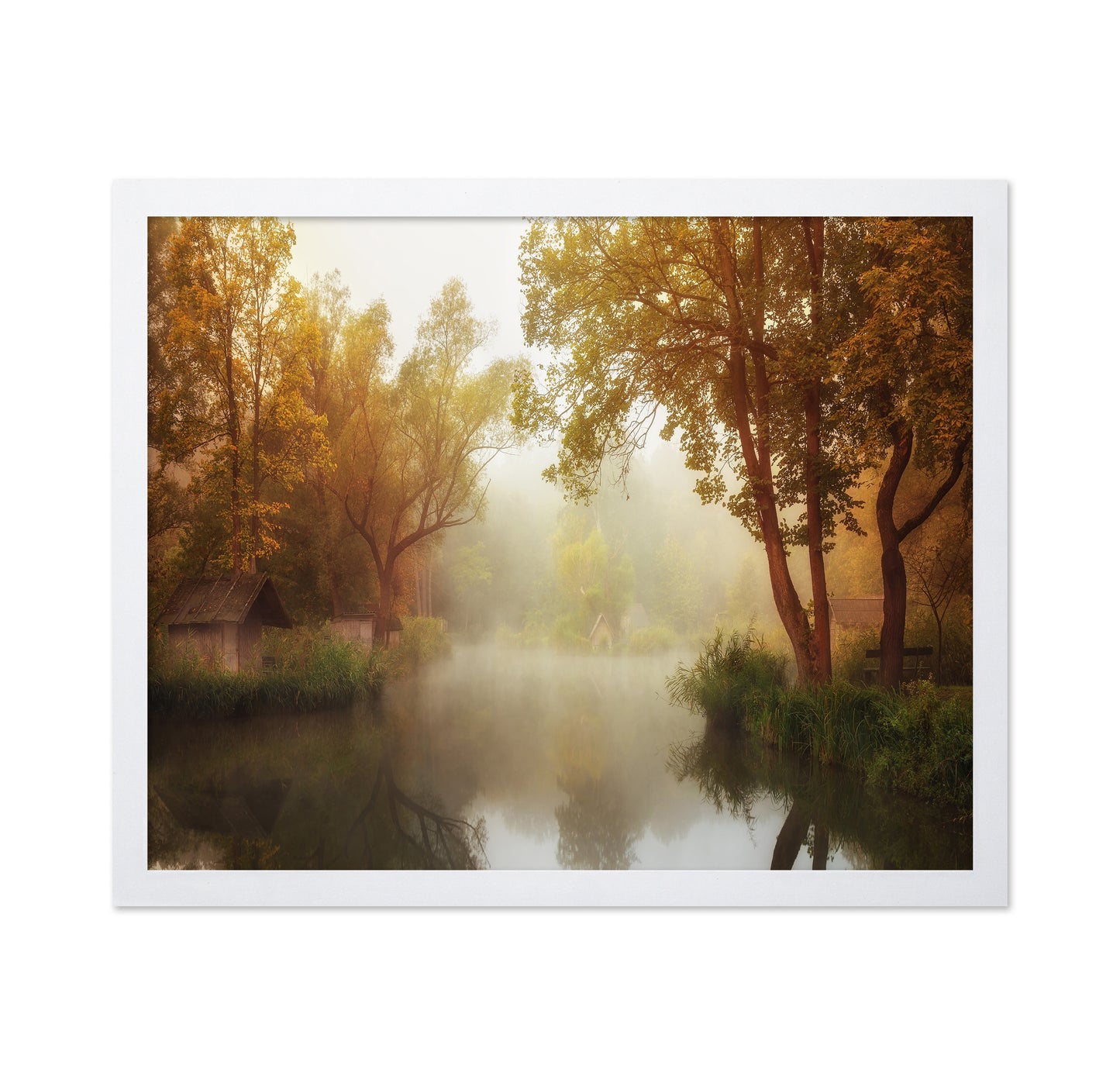 Foggy Autumn